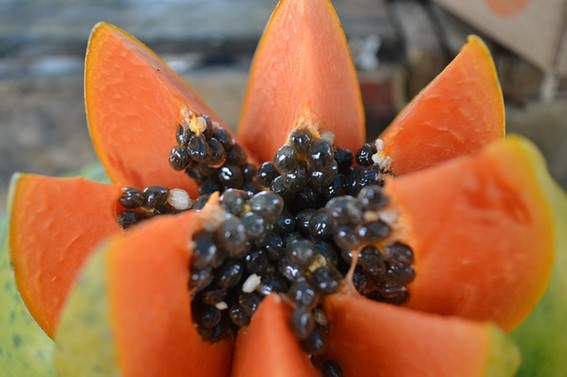 fruta tropical papaya con sus semillas nativas