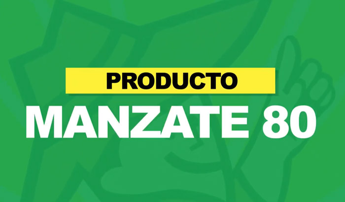 MANZATE-80-700x410-1
