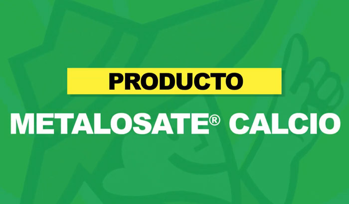 METALOSATO-CALCIO-700x410-1