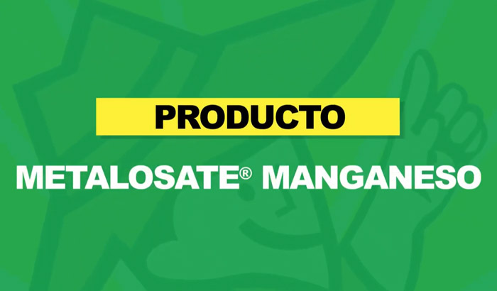 METALOSATO-MANGANESO-700x410-1