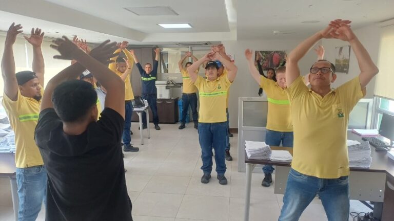 Imagen 12