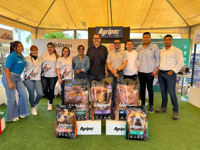 Imagen 14