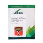 1000642-1-1200x1200-2