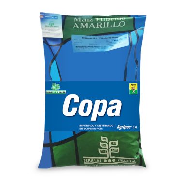 1003153-1-1200x1200-2