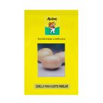 4000562-1-1200x1200-1