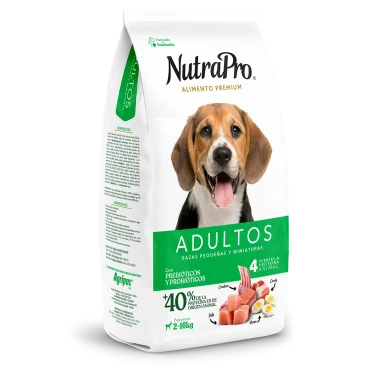 Adultos_perros_pequeñas y miniaturas
