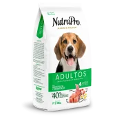 Adultos_perros_pequeñas y miniaturas