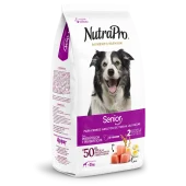 Adultos_perros_senior