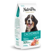 Cachorros_perros_medianas y grandes