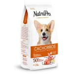 Cachorros_perros_pequeñas y miniaturas