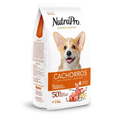 Cachorros_perros_pequeñas y miniaturas