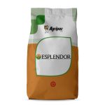 Esplendor-1-1200x1200
