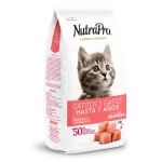 Gatos_gatitos y gatos