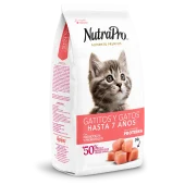 Gatos_gatitos y gatos