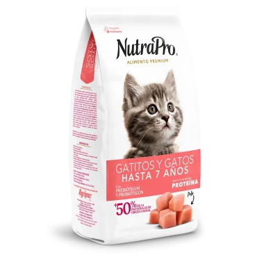Gatos_gatitos y gatos