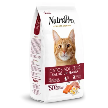 Gatos_salud urinaria