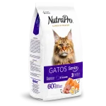 Gatos_senior