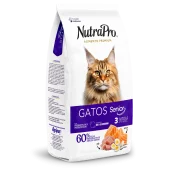 Gatos_senior