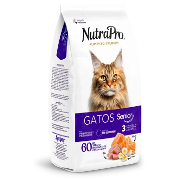 Gatos_senior