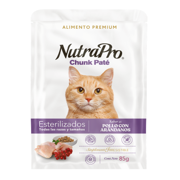 Pouch_gato_pollo arandanos