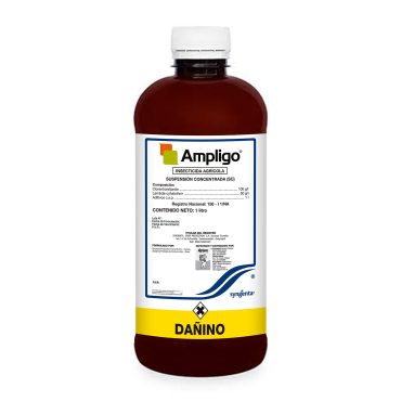 ampligo