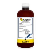 ampligo