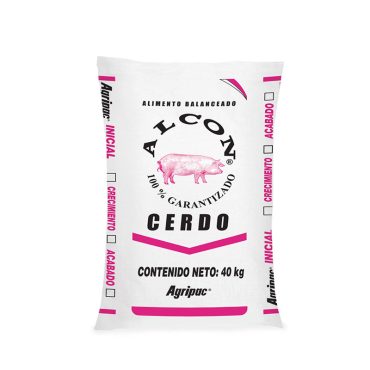 cerdo inicial