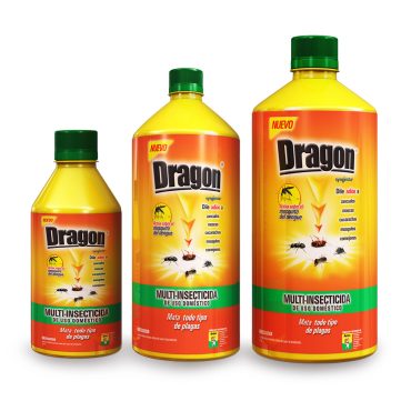 dragon