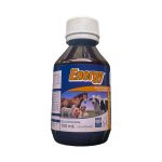 energy-1