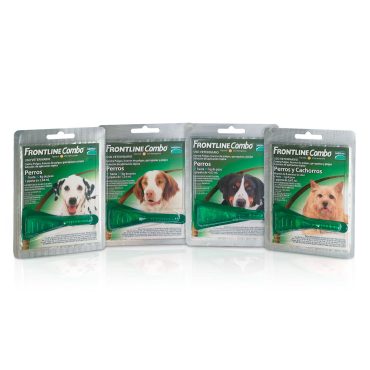 frontline-combo-perros