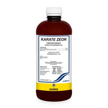 karate