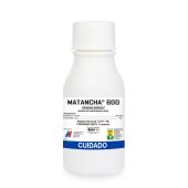 matancha