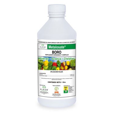 metasolate-boro metasolate-boro