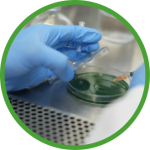 microbiologia-2x microbiologia-2x