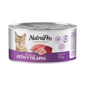 npGatos_AtunTilapia