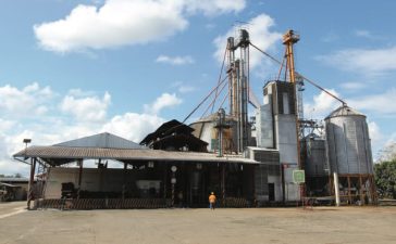 planta-agrigrain-600×370 planta-agrigrain-600x370