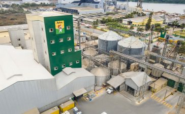 planta-balanfarina-600×370-x2 planta-balanfarina-600x370-x2