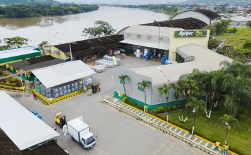 Planta Celteq Planta Celteq