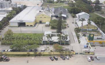 planta-emsemillas-600×370 planta-emsemillas-600x370