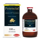 potencial