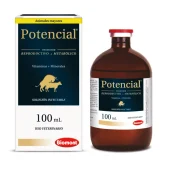potencial