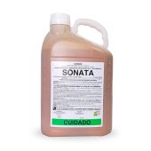 sonata