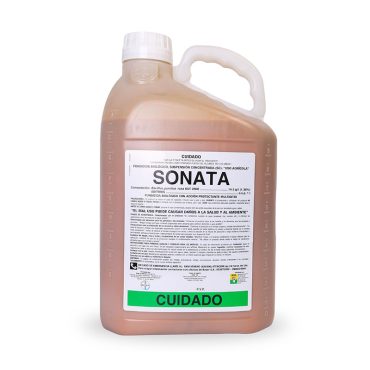 sonata