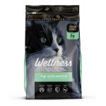 wellness-gato-adulto