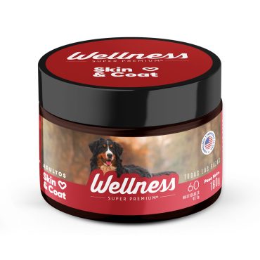 wellness-skin